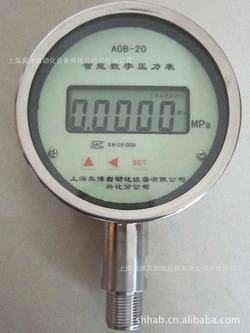 “蕪湖滅火器數字壓力表“/